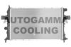 OPEL 09192578 Radiator, engine cooling